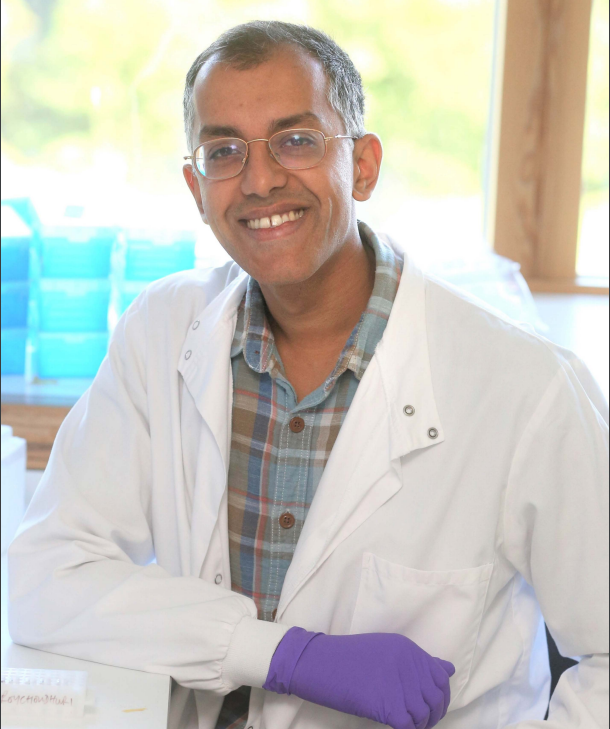 Professor Rahul Roychoudhuri